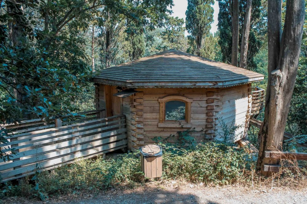 une petite cabane dans les bois cassine