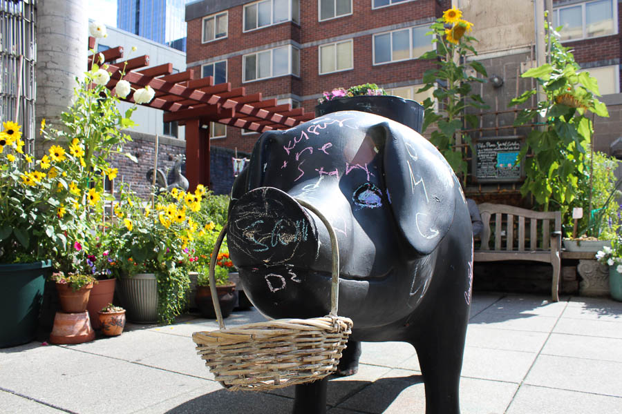 sculpture cochon public garden seattle